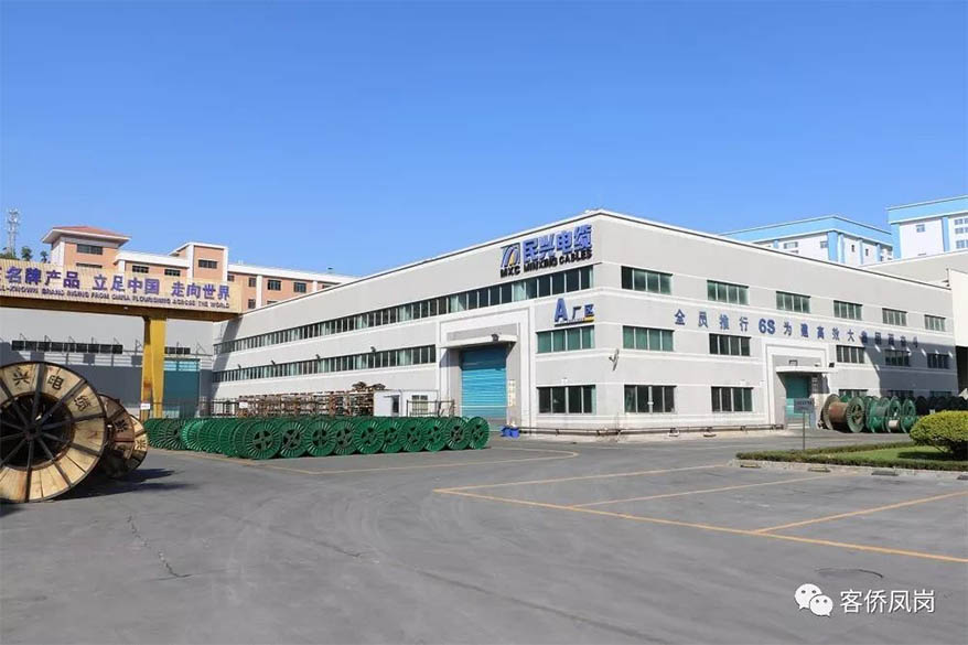 党建引航 | 坚守初心与使命——  MK体育
接受凤岗电视台采访和报道