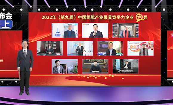 广东前三！莞企MK体育
荣获行业大奖