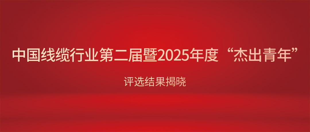 热烈祝贺MK体育
总经理杨彦荣获中国线缆行业“杰出青年”！